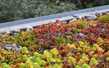 the cost of Hampton In Arden green roof installation