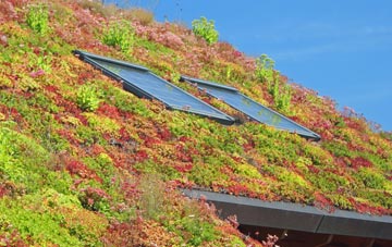 Hampton In Arden living roof systems