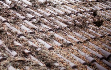 Hampton In Arden roof cleaning companies