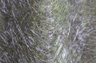 Hampton In Arden fibreglass roof work